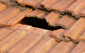 roof repair Redding, Falkirk